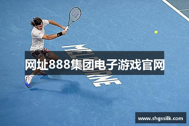 网址888集团电子游戏官网